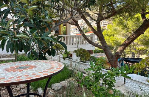 Beauty Garden - Foto 38