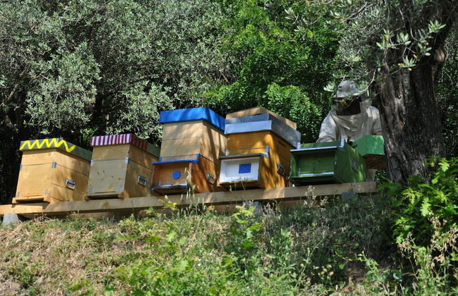 Podere La Piana - Foto 43