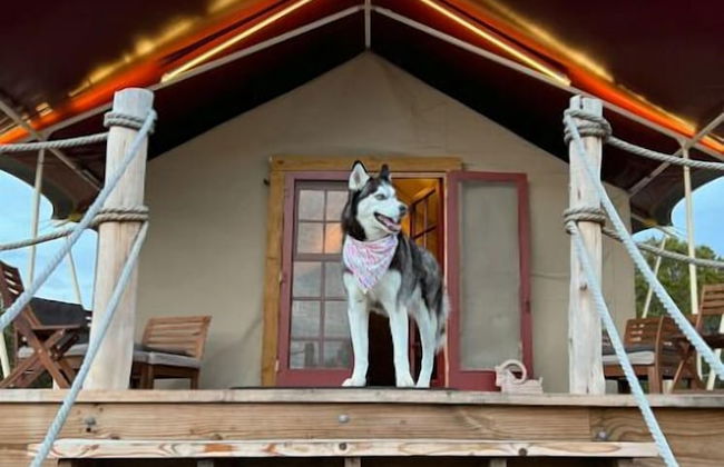 Lost Horizon Texas - Foto 54