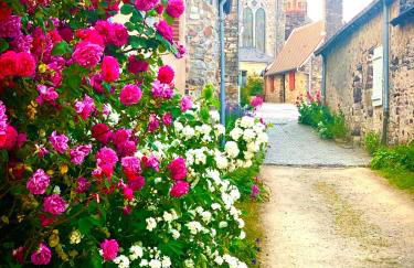 Le Clos de Loré - Foto 19