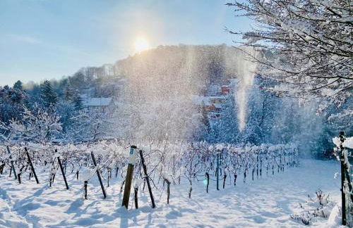 HALBSTÜCK - Ferienwohnungen am Kropsbachpark - Foto 20
