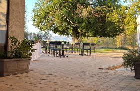 Bosco Elda - Foto 26