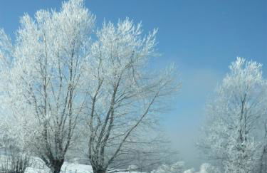 T3 coquet et lumineux aux pieds des pistes - Foto 23