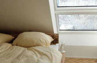 Trautesheim Ferienwohnungen - Foto 32