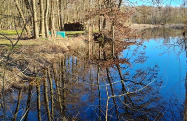 4 Sterne-Haus am See - Foto 79