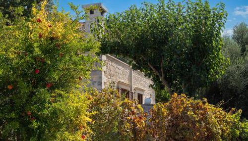 Drys Stone House - Foto 3, Garden