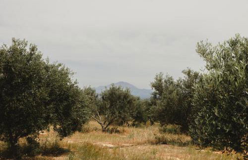 Dedalos Touch Boutique Hotel - Photo 53