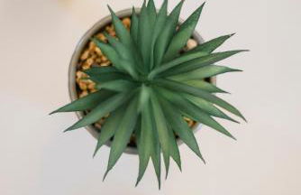 Cycladic House Naxos - Foto 31