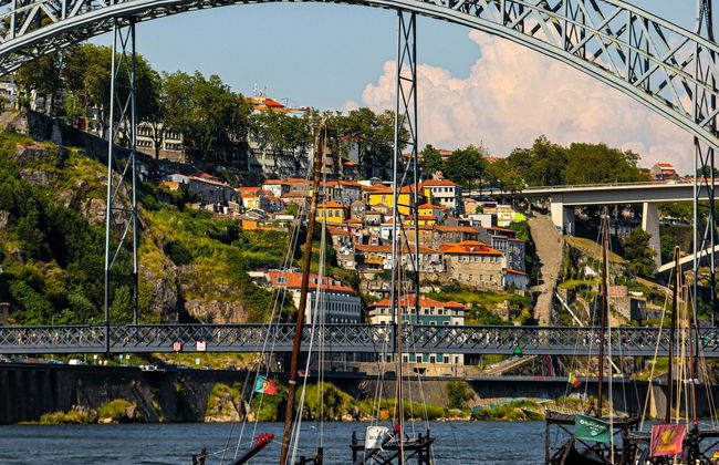 Día completo en el Duero (2 bodegas) recogida y regreso – Grupos pequeños - Foto 3