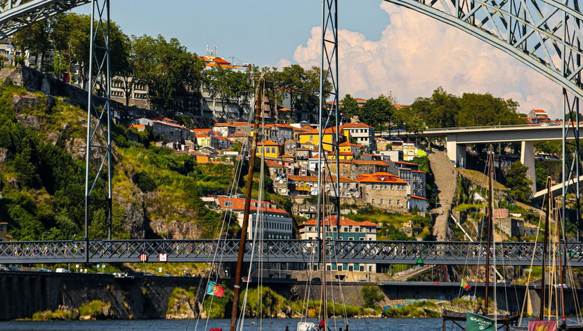 Tour día completo histórico y vinícola en el Duero (1 bodega, almuerzo y crucero) - Foto 3