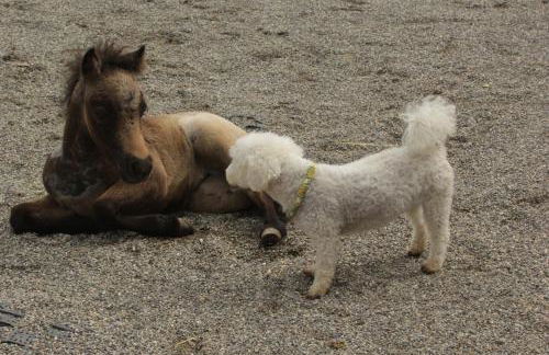 Gronewald's Mountain View Holidays - Foto 15