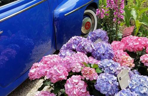 Ferienhaus Alpenpanorama Chalet - Foto 76