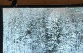 Na skraju gaju - Foto 10