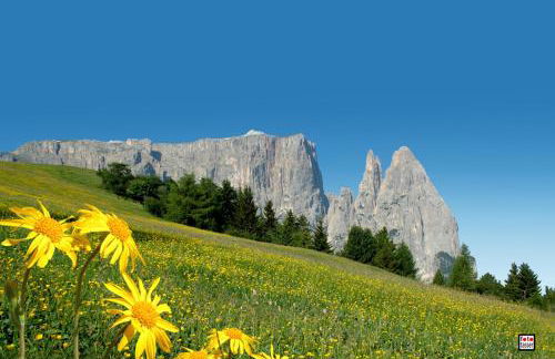 Apartment Gertrud - Foto 16