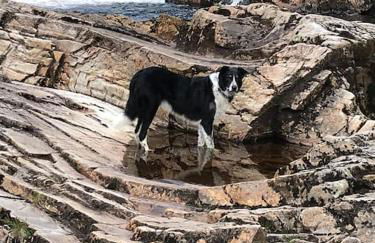 Rosemount Cottage TWO - Highland Cottage - Foto 54