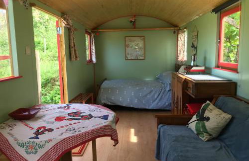 Rosa the Cosy Cabin - Gypsy Wagon - Shepherds Hut, RIVER VIEWS Off-grid eco living - Foto 12
