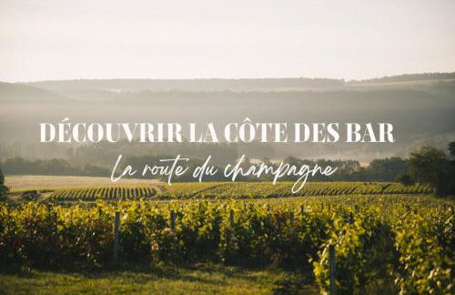 Maison éco-chic 4 chambres proche Lac et Troyes jardin WiFi nigloland - Foto 68