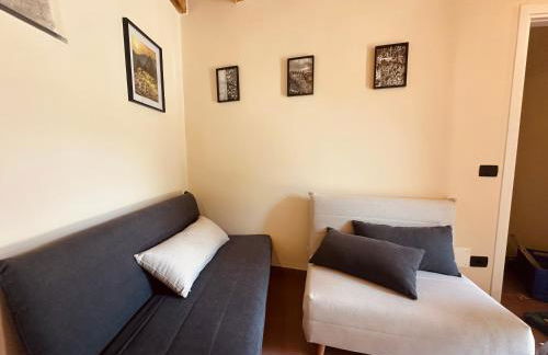 Vitis Verde - Foto 20