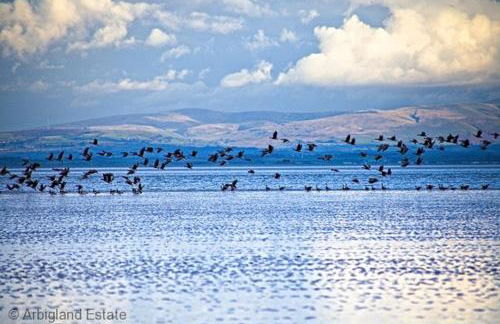 Beachcombers - Foto 59