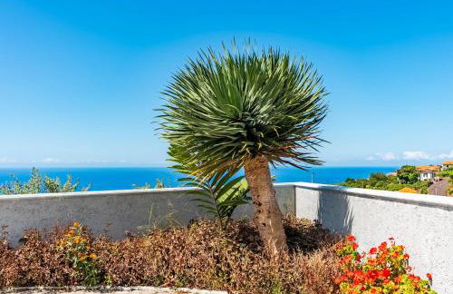 Villa Pinheira IV -Heated swimming pool - Foto 49