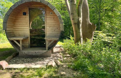 Reetdachkate Fuchsgraben - naturnah & stilvoll mit Wald-Sauna - Foto 46