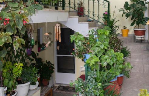 Μάνια - Foto 14