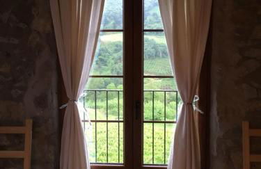 Agroturismo Erlete Goikoa -ESTAMOS EN EL CAMINO DE SANTIAGO -WE ARE ON THE CAMINO DE SANTIAGO- SENDERISMO-RUTAS Y BICICLETA - Photo 61