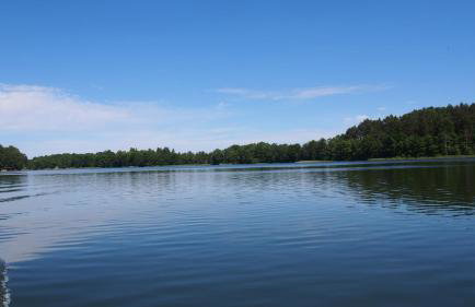 Wypoczynkowo Domki Letniskowe - Foto 51