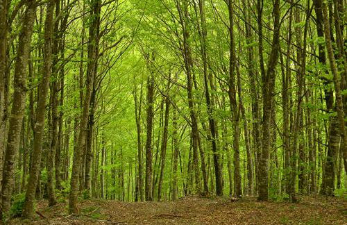 Casa Rural Lenco - Foto 59