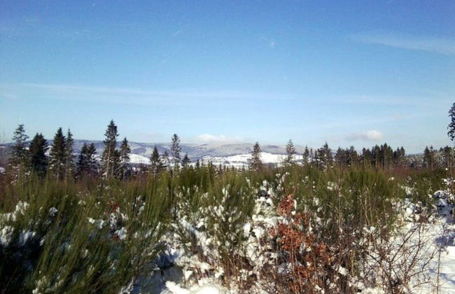 Ruhige Wohnung im Sauerland mit Terrasse - Foto 22