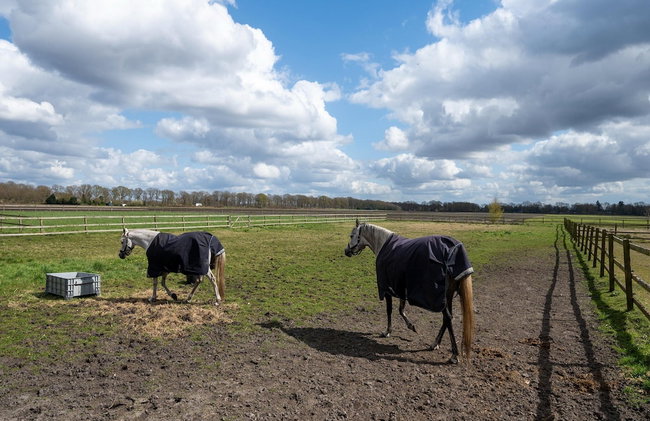 Holiday Home with Meadow View near Forests - Photo 25