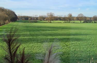 Ferienwohnung In den Wiesen - Foto 10