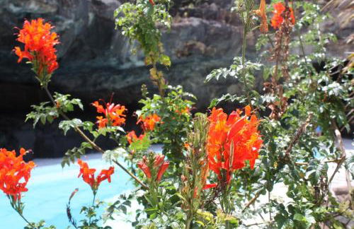 Casa Rural Finca Isabel - Foto 31