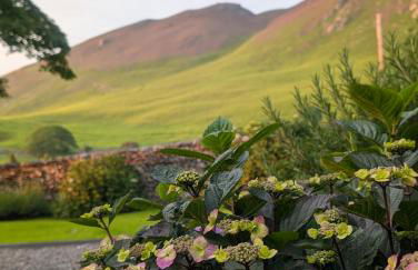 Wayside Cottage 1637 - Foto 49