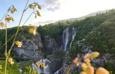 Apartman Laura - Foto 23