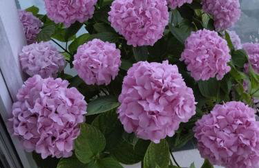 Apartment Marija Marina - Photo 20