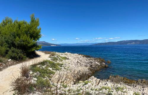 Villa Castelina - Foto 27