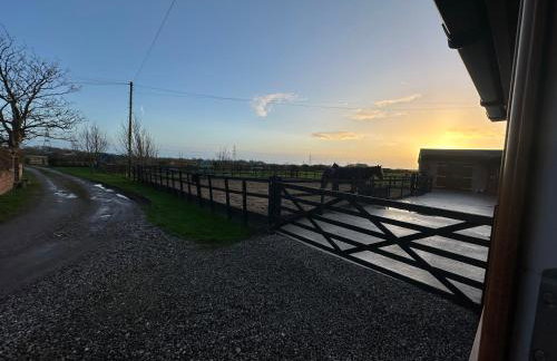 The Bungalow - Photo 41