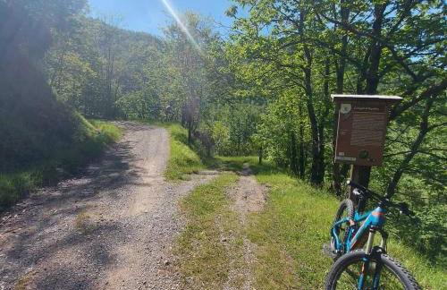 Da Castruccio degli Antelminelli - Foto 31