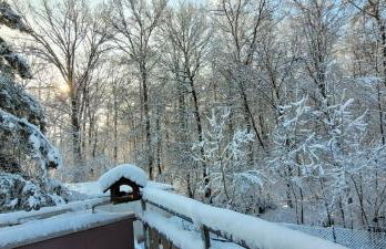 Forest Inn, retreat in nature - Foto 17