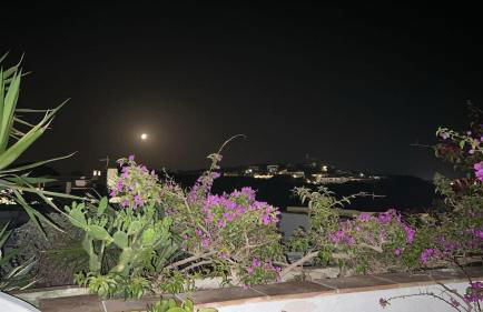 Steps from the Beach with views and big patio! - Photo 15