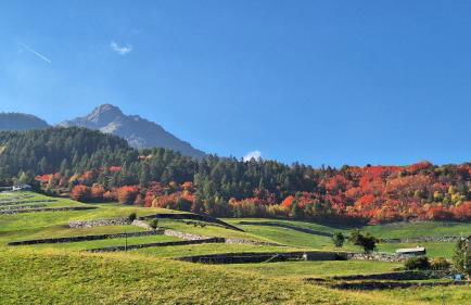 LA CASETTA - Appartamento CERVINO - Foto 13