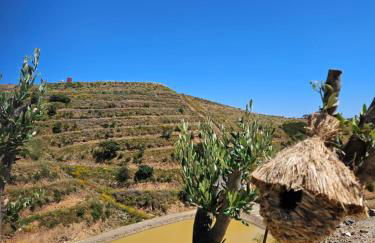 Portugals Infinity Eco Suite Resort - Foto 38