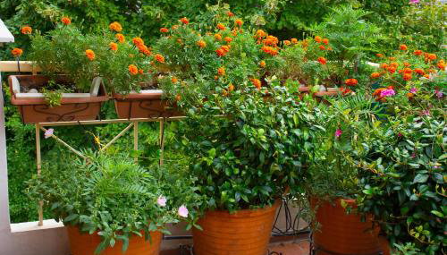 Cozy Maisonette - Foto 5