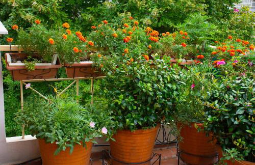 Cozy Maisonette - Foto 5