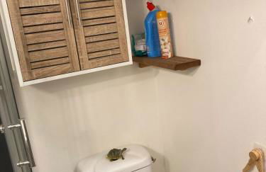 La Maison des Orchidées - Photo 5