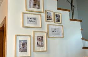 Apartamento Villa Bruno con vistas al mar, primera línea de playa - Foto 27