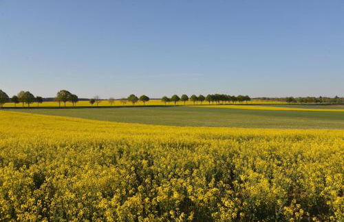 La Maison im Park von Schloss Schmidtheim - Foto 22