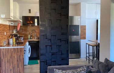 Bel appartement spacieux ,convivial de 3 chambres avec parking privé sécure - Photo 62