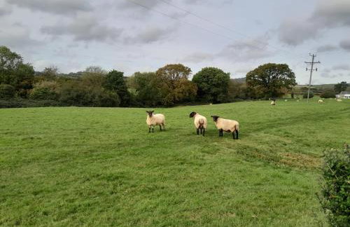 1 Cowdea Farm - Foto 24